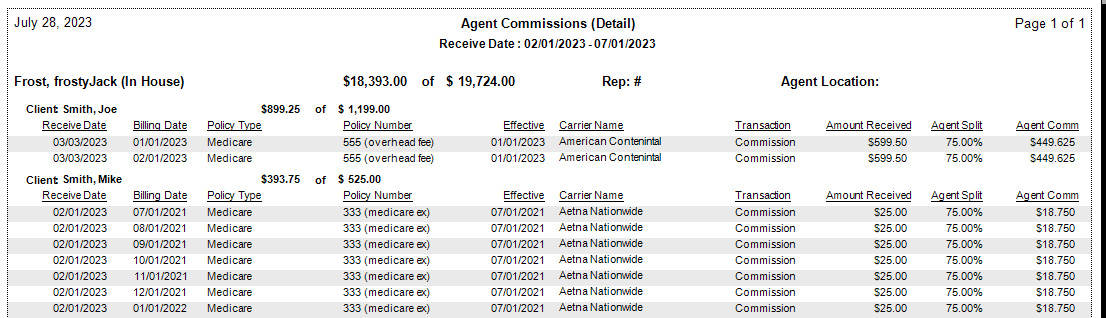 Detail Report Example